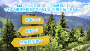 1マイルの価値はいくら?お得なANAマイルの交換、使い方のまとめ!