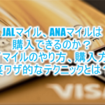JALマイル、ANAマイルの購入方法!?バイマイル(バイポイント)のやり方と利用方法!短期間で貯める裏ワザ!!