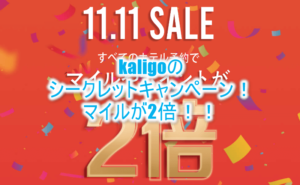 【緊急限定！】kaligo（カリゴ）のシークレットキャンペーンでマイルやポイントが2倍！！