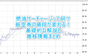 2025年10月最新のANA、JALの燃油サーチャージの推移まとめ。値上げ、値下げの料金の仕組みを解説