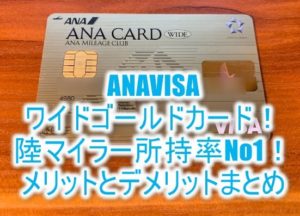 2025年最新版!ANAVISAワイドゴールドカード6つのメリットとは?マイル還元率、年会費、保険条件の総まとめ!!陸マイラーおすすめのカードの全貌!