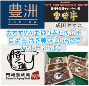 自粛生活を快適にするお得なお取り寄せ、超おすすめの9選!実際に購入した食レポートも紹介!!