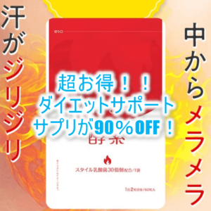 超絶！90％OFFでお得にダイエットサポート！4か月分がたったの1992円で利用が出来ちゃう！！