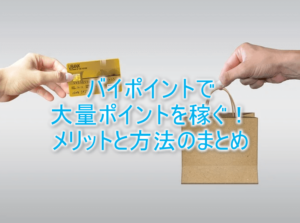 バイポイント案件とは?利用方法、強烈な2つのメリットまとめ。毎月1万~20万ポイント稼ぐ方法
