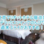 東京マリオットホテル宿泊記!デラックスツインルームのブログレビュー。立地良し!口コミ良し!週末ステイにおすすめ!