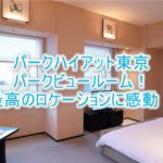 パークハイアット東京、滞在記!パークビュールームのブログ的レビュー!