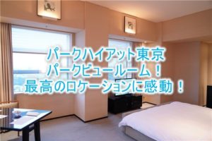 パークハイアット東京、滞在記！パークビュールームのブログ的レビュー！