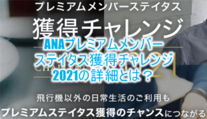 2021年版！ANA上級会員ステイタスのキャンペーンの詳細、条件のまとめ！これ本当に得なのか？