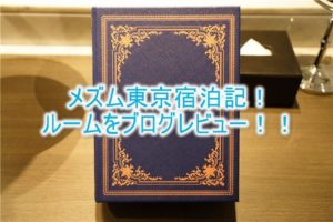 メズム東京 オートグラフ コレクションの宿泊記、ブログ的なルームレビュー！chapter 1のルームの詳細とは？