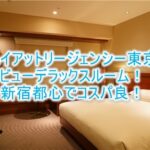 ハイアットリージェンシー東京、ブログ宿泊記!ビューデラックスルームのレビュー!