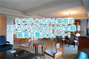 ウェスティンホテル東京ブログ宿泊記！エグゼクティブスイートのレビュー！アップグレードの秘密とは？