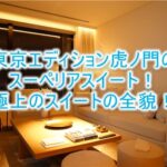 アンダーズ東京の宿泊ブログレビュー！魅惑のパークビュールーム、最高のバスタブで優雅な一日！プールも炭酸泉でおすすめ！