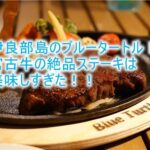 宮古島のブルータートルで絶品ディナーを満喫!ビーチも5秒でいける!リコリスコイルの千束がいたところ!