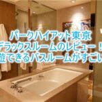 パークハイアット東京、デラックスルームツインのブログレビュー!回廊のような造りが最高の滞在を生む!
