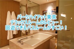 パークハイアット東京、デラックスルームツインのブログレビュー!回廊のような造りが最高の滞在を生む!