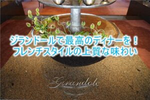 ジランドールのディナーが最高だった！パークハイアット東京でフレンチスタイルを楽しむ！！