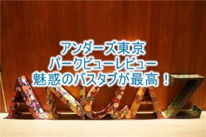 アンダーズ東京の宿泊ブログレビュー！魅惑のパークビュールーム、最高のバスタブで優雅な一日！プールも炭酸泉でおすすめ！