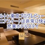 【宿泊記】ヒルトン東京のブログレビュー!ジュニアスイート、新宿の好立地で高層階ビューは素晴らしい!