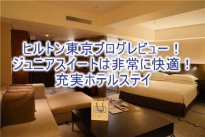 【宿泊記】ヒルトン東京のブログレビュー！ジュニアスイート、新宿の好立地で高層階ビューは素晴らしい！