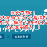 超爆益錬金術!即反映で36,000P貰ってウェル活1.5倍で54,000円分のお買い物!今日でも間に合うぞ!!