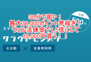 超爆益錬金術！即反映で36,000P貰ってウェル活1.5倍で54,000円分のお買い物！今日でも間に合うぞ！！