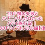 コロナ禍の失敗とハプニングしかなかったハワイ旅行記!ホノルルで地獄のドライブ編【後編】