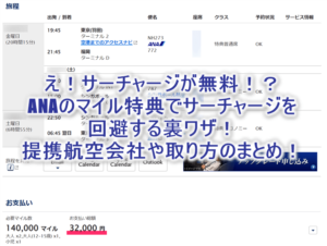 2025年最新版！ANA国際特典航空券でサーチャージ無料、不要で乗れちゃう裏ワザ！サーチャージが掛からない、不要な提携航空会社を使ったテクニック！