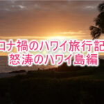 コロナ禍の失敗とハプニングしかなかったハワイ旅行記!最後まで気が抜けない怒涛のハワイ島編
