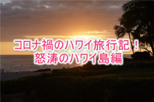 コロナ禍の失敗とハプニングしかなかったハワイ旅行記！最後まで気が抜けない怒涛のハワイ島編