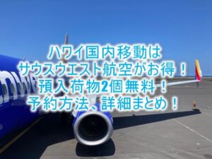 サウスウエスト航空のチケット取り方、予約方法やルール、基本まとめ!手荷物無料でハワイ国内線がめっちゃ安く快適!