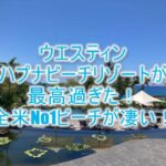ウェスティンハプナビーチリゾートのブログレビュー!ハワイ島最強の全米No1ビーチでホヌ(ウミガメ)と泳げる!プレミアオーシャンも良い!