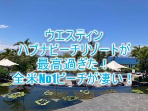 ウェスティンハプナビーチリゾートのブログレビュー!ハワイ島最強の全米No1ビーチでホヌ(ウミガメ)と泳げる!プレミアオーシャンも良い!