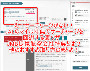 JAL国際特典航空券でサーチャージ無料、不要で乗る方法まとめ!提携航空会社や他航空会社でJAL便に乗るテクニック!