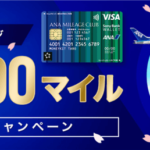 これはヤバい!ソニー銀行口座開設と10万円カード利用で10,000ANAマイル!更に外貨預金でプラス最大20,000ANAマイルが貰える!!