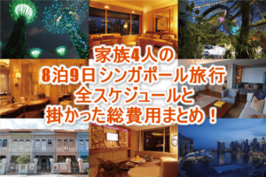 平均年収陸マイラー子連れ家族でシンガポール8泊9日旅行！全行程スケジュール、総費用のまとめ！