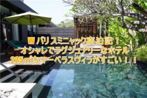 W バリ スミニャックのブログ宿泊記!225㎡なマーベラスヴィラのルームレビュー!プライベートプールが最高過ぎた!