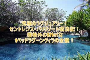 セントレジス・バリリゾートのブログ宿泊記！規格外の371㎡な1ベッドラグーンヴィラのレビュー！プライベートプールが最高過ぎた！
