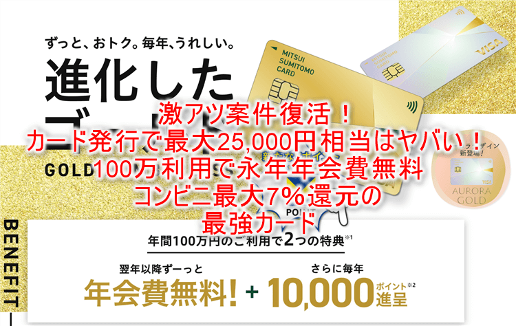 超爆益！三井住友カード ゴールド（NL）で12,000円相当と13,000円相当のVポイントが貰える！SBI証券の新NISAがおすすめ！