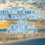 2025年のSFC修行おすすめルート!ANA修行攻略まとめ!国内線、海外発券利用の国際線修行、PP単価総まとめ!