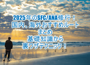2025年のSFC修行おすすめルート！ANA修行攻略まとめ！国内線、海外発券利用の国際線修行、PP単価総まとめ！
