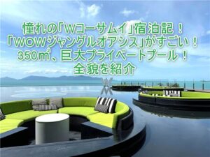 【サムイ島】Wコーサムイ(W Koh Samui)宿泊記!WOWジャングルオアシスレビュー!全室プライベートプール付きで最高!